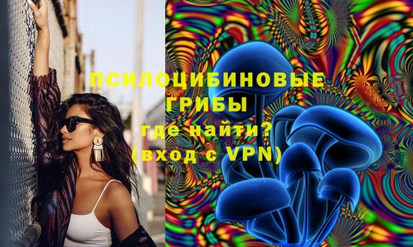 амф Новодвинск