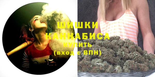 2c-b Новозыбков