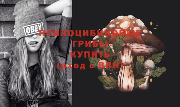 MDMA Белокуриха