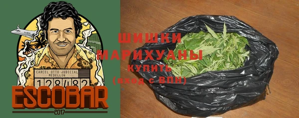 2c-b Новозыбков