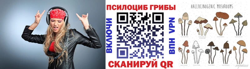 Псилоцибиновые грибы Psilocybe  Янаул 